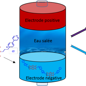 Vers des batteries fonctionnant dans l’eau de mer